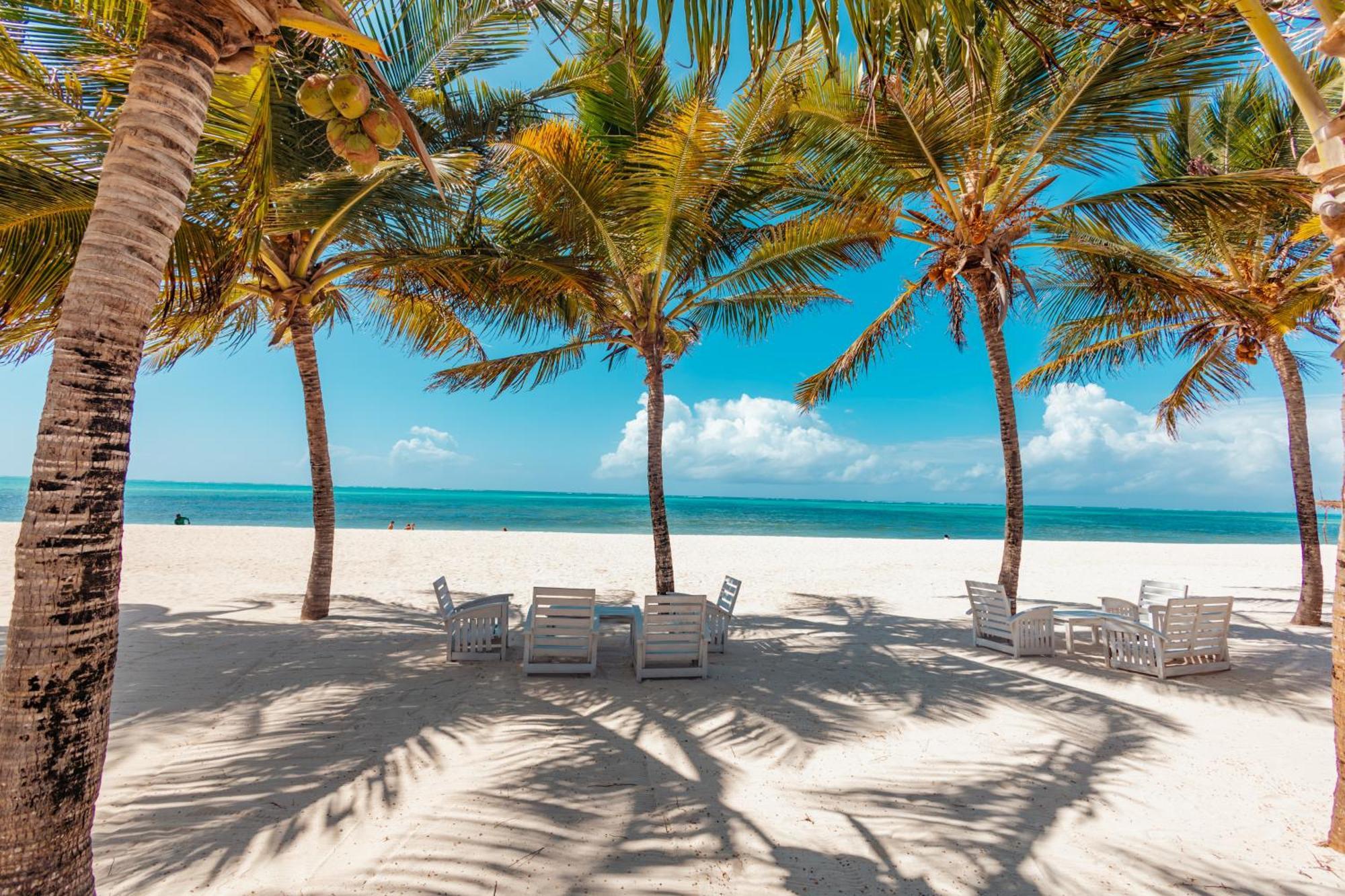 Twiga Beach Resort Watamu Dış mekan fotoğraf