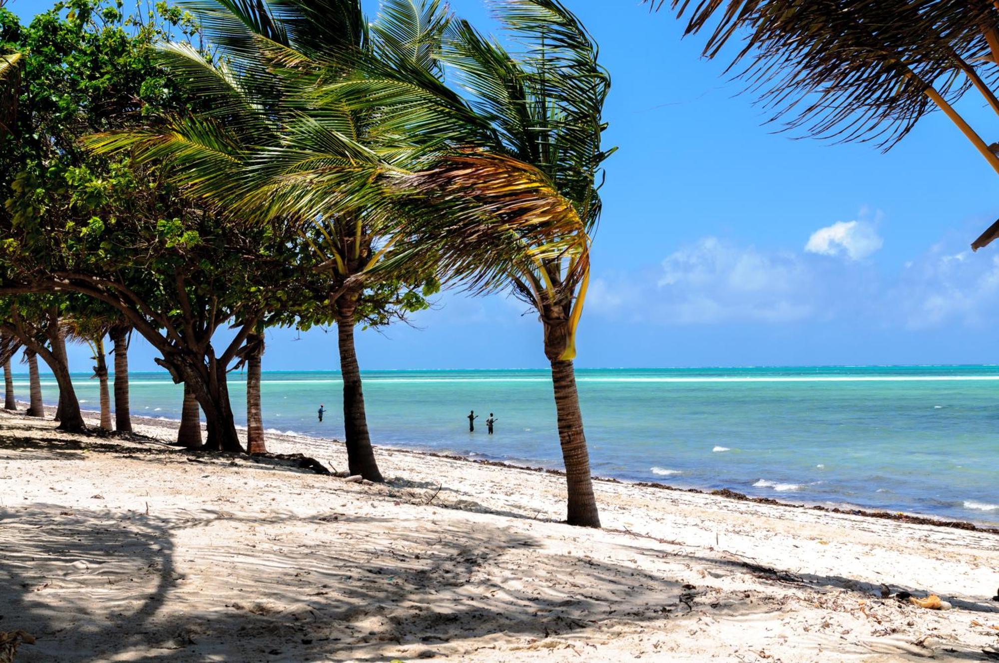 Twiga Beach Resort Watamu Dış mekan fotoğraf