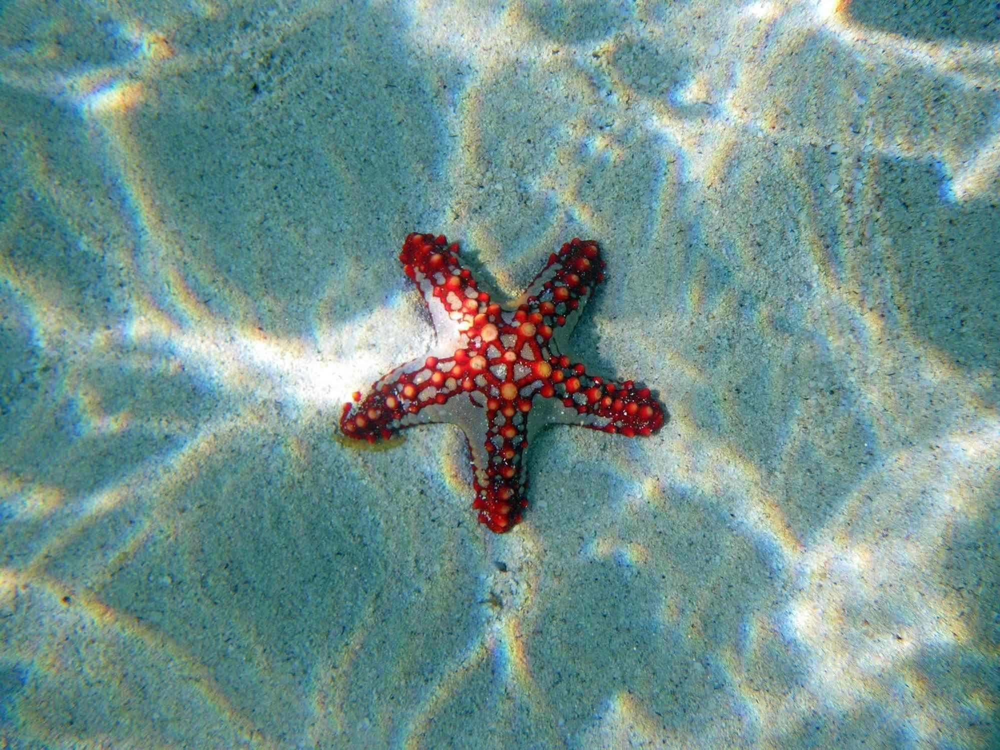 Twiga Beach Resort Watamu Dış mekan fotoğraf
